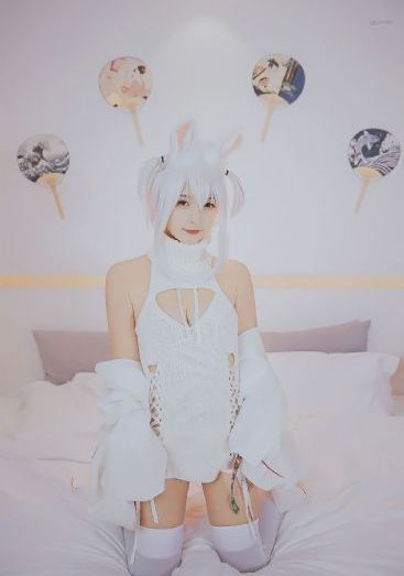 电视剧《刑警队长》