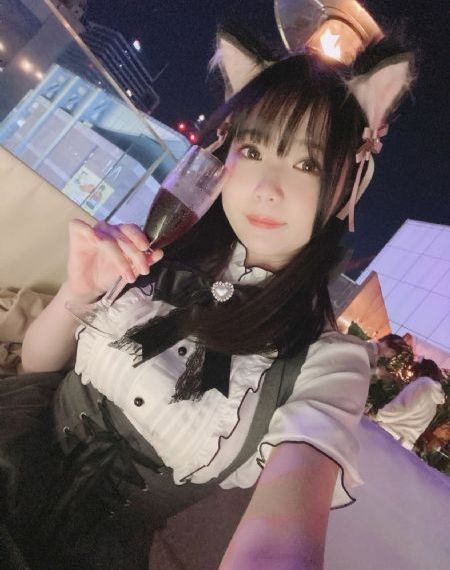 与君歌电视剧全集免费播放