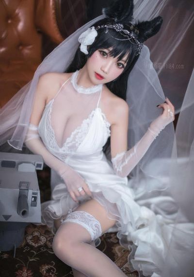 陈情令电视剧全集免费观看