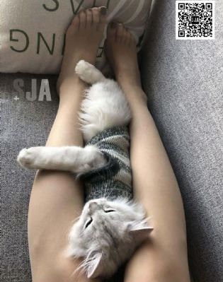 少年资源在线观看免费