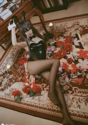 电视剧珠帘玉幕