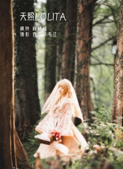 神雕侠侣刘亦菲版
