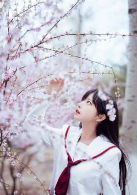绯闻女孩第二季在线观看高清完整