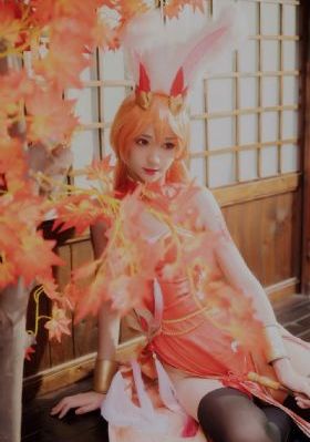 最强大脑第十季免费观看完整版